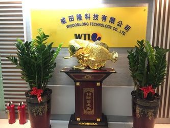 Chine Wisdomlong Technology CO.，LTD Profil de la société