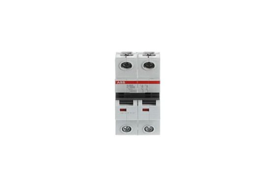 ABB S202-C100 2CDS252001R0824 S202-C100 Disjoncteur miniature - 2P - C - 100 A