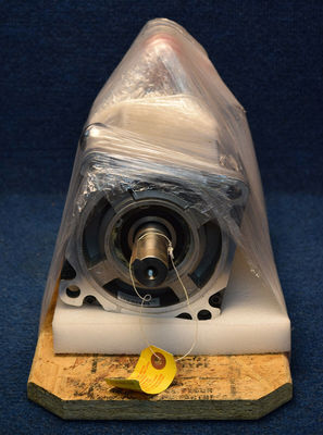 Le moteur de service rotatif de la série MPM 480V AC